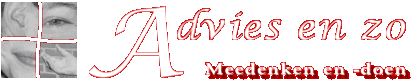 Logo Advies en zo, Meedenken en -doen